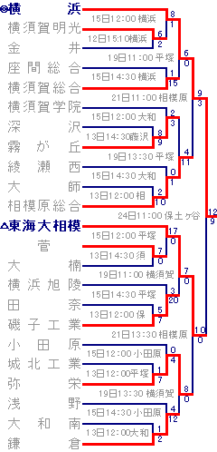 第91回全国高校野球選手権神奈川大会